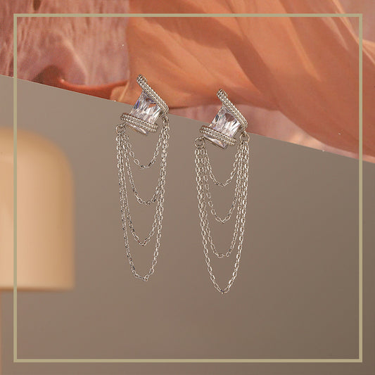 Elegant and noble zircon tassel earrings - jewelryweilin