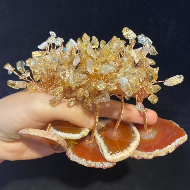 Natural Agate Slice Mini Money Tree