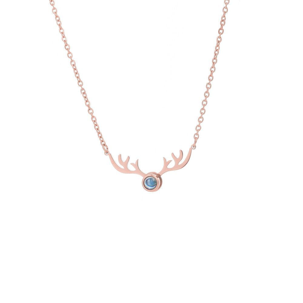 Photo projection antler necklace