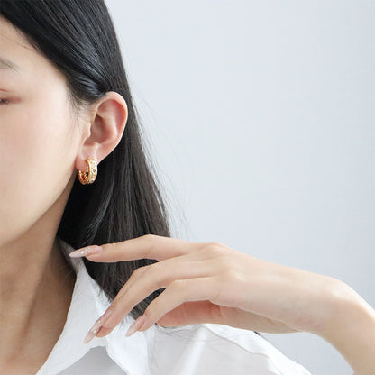 Designer gold micro-paved zircon exquisite earrings - jewelryweilin