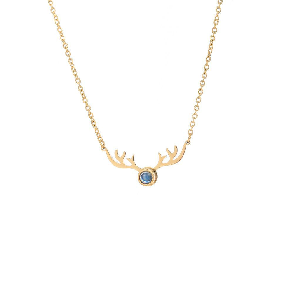 Photo projection antler necklace