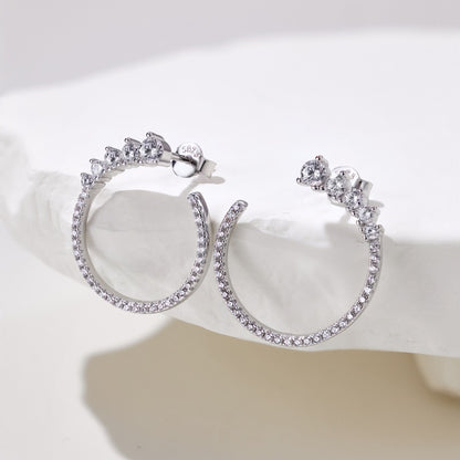 Fashionable hoop design micro-paved zircon earrings - jewelryweilin
