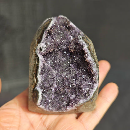 Natural Money Tree Fortune - attracting Crystal Ornaments - jewelry - weilin.com